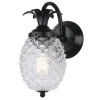 Best Deal Patriot Lighting® Pineapple Matte Black Outdoor Wall Light