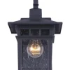 Best Deal Patriot Lighting® Michee Black Outdoor Wall Light