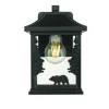 Best Pirce Patriot Lighting® Bear Black Outdoor Wall Light