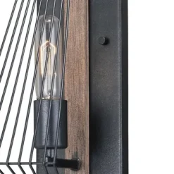 Best Reviews Of Patriot Lighting® Rochester 1-Light Black Iron & Burnished Oak Indoor Wall Light