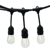 Best Reviews Of Patriot Lighting® 36′ Plug-In 18-Light Warm White Led String Light