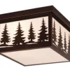 Best Reviews Of Patriot Lighting® Forest Burnished Bronze Outdoor Ceiling Light