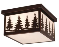Best Reviews Of Patriot Lighting® Forest Burnished Bronze Outdoor Ceiling Light