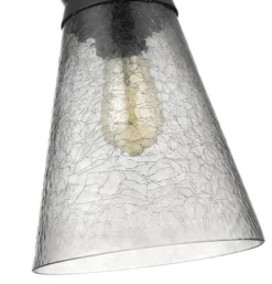 Brand New Patriot Lighting® Abelia Black 1-Light Pendant