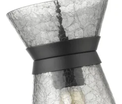 Brand New Patriot Lighting® Abelia Black 1-Light Pendant