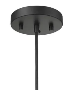 Brand New Patriot Lighting® Abelia Black 1-Light Pendant