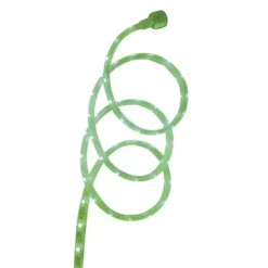 Budget Patriot Lighting® 16′ Plug-In Led Color-Changing Rope Light