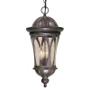Budget Patriot Lighting® Cambria Royal Bronze Outdoor Pendant Light