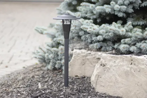 Budget Patriot Lighting® Corwith Low Voltage Integrated Led Landscape Light