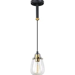 Budget Patriot Lighting® Kassidy Black Mini Pendant