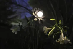 Budget Patriot Lighting® Solar Integrated Led Galvanized Flower Landscape Light