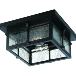 Budget Patriot Lighting® Wren Matte Black 2-Light Outdoor Flush Mount Ceiling Light