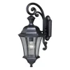 Buy Patriot Lighting® Dualux® Aberdeen Shiny Black Outdoor Wall Light