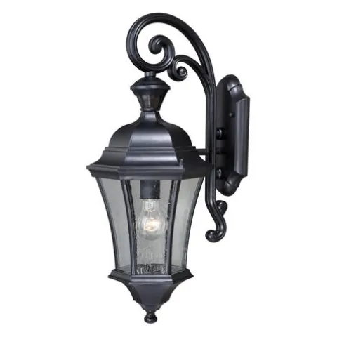 Buy Patriot Lighting® Dualux® Aberdeen Shiny Black Outdoor Wall Light