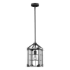 Buy Patriot Lighting® Elegant Home Levon Weathered Gray Faux Wood & Black 1-Light Mini Pendant