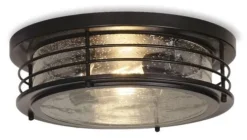 Buy Patriot Lighting® Hale Black 2-Light Flush Mount Ceiling Light