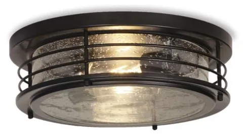 Buy Patriot Lighting® Hale Black 2-Light Flush Mount Ceiling Light
