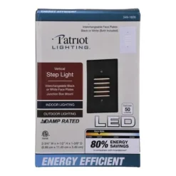 Buy Patriot Lighting® Led Vertical Step Light