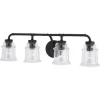 Buy Patriot Lighting® Toledo Matte Black 4 Light Vanity Light