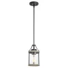 Cheap Patriot Lighting® Elegant Home Brooklyn Natural Iron & Distressed Faux Wood 1-Light Mini Pendant