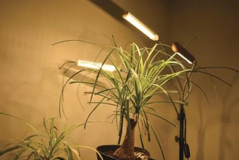 Cheap Patriot Lighting® Tripod 3 Light Led Grow Light