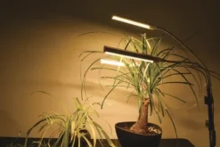Cheap Patriot Lighting® Tripod 3 Light Led Grow Light