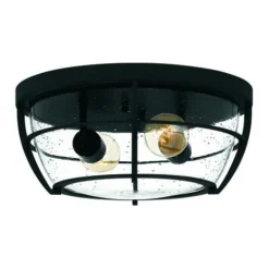 Cheapest Patriot Lighting® Haley Matte Black 2-Light Flush Mount Ceiling Light