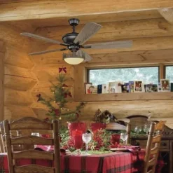 Cheapest Patriot Lighting® Rustic Lodge Ii 2-Light Burnished Bronze Led Ceiling Fan Light