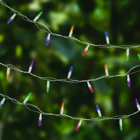Coupon Patriot Lighting® 32′ 150-Light Multi-Color String Light
