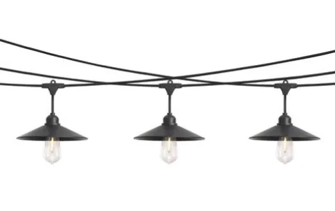 Coupon Patriot Lighting® 24' 12-Light Ivy String Light