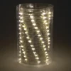 Coupon Patriot Lighting® 33′ 100 Light Warm White Led Fairy String Light