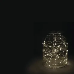 Coupon Patriot Lighting® 33′ 100 Light Warm White Led Fairy String Light