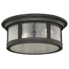 Coupon Patriot Lighting® Hanover Brushed Iron 2-Light Outdoor Flush Mount Light