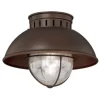 Coupon Patriot Lighting® Harwich Burnished Bronze Outdoor Flush Mount Light