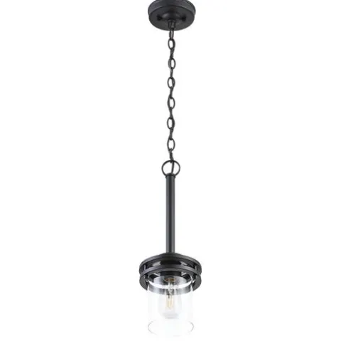 Coupon Patriot Lighting® Joska Matte Black 1-Light Mini Pendant