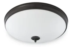 Coupon Patriot Lighting® Legend Bronze Integrated Led Flush Mount Ceiling Light