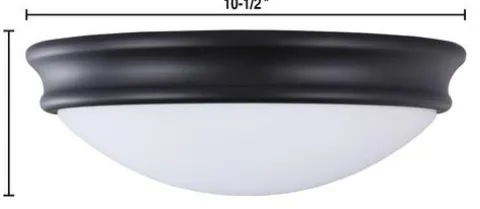 Coupon Patriot Lighting® Tuiren Black Flush Mount Ceiling Light 2-Pack