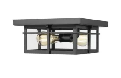 Coupon Patriot Lighting® Ward Matte Black Flush Mount Outdoor Ceiling Light