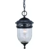 Deals Patriot Lighting Elegant Home Patriot Lighting® Elegant Home Oaklynn Forged Sienna Outdoor Pendant Light