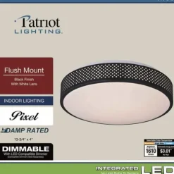 Deals Patriot Lighting® Pixel Black Integrated Led Flush Mount Ceiling Light