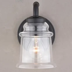 Deals Patriot Lighting® Toledo Matte Black 1 Light Vanity Light