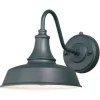 Discount Patriot Lighting® Dorado Hunter Green Outdoor Wall Light