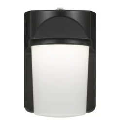 Discount Patriot Lighting® Bronze Led Dusk-To-Dawn Outdoor Security Jelly Jar