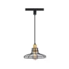 Flash Sale Patriot Lighting® Robert Black 1-Light Track Lighting Pendant