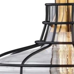 Flash Sale Patriot Lighting® Robert Black 1-Light Track Lighting Pendant