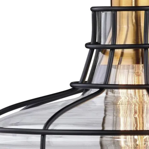 Flash Sale Patriot Lighting® Robert Black 1-Light Track Lighting Pendant