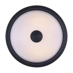 Hot Sale Patriot Lighting® Dee Rubbed Antique Bronze 2-Light Flush Mount Ceiling Light