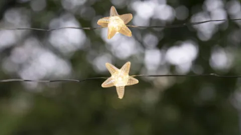 Hot Sale Patriot Lighting® 7′ 2-3/8″ 20-Light Battery-Powered Starfish Led String Light