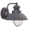 Hot Sale Patriot Lighting® Harwich Textured Gray Outdoor Wall Light