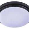 Hot Sale Patriot Lighting® Flinn Black Led Flush Mount Ceiling Light 2-Pack
